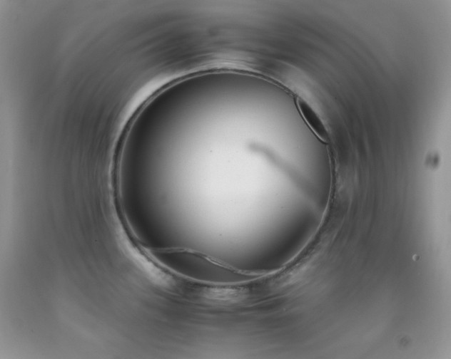 X0000092291339200709141252