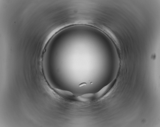 X0000092291340200709141252