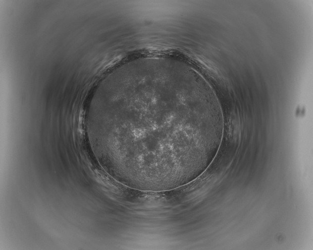 X0000092291346200709141251