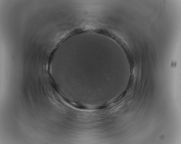X0000092291348200709141251