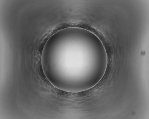 X0000092291349200709141251