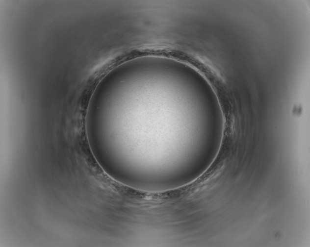 X0000092291350200709141251