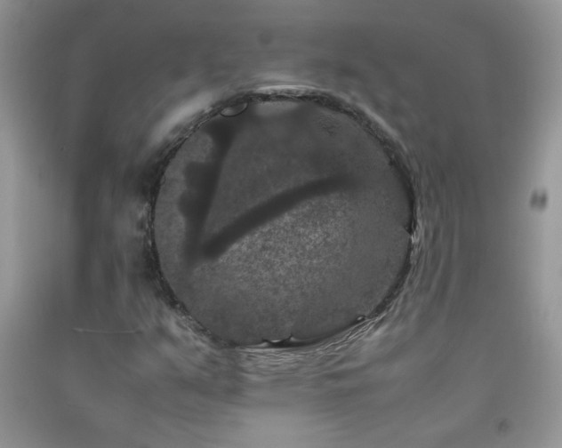 X0000092291351200709141251