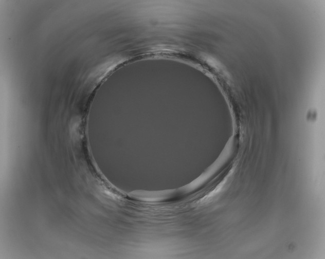 X0000092291353200709141251