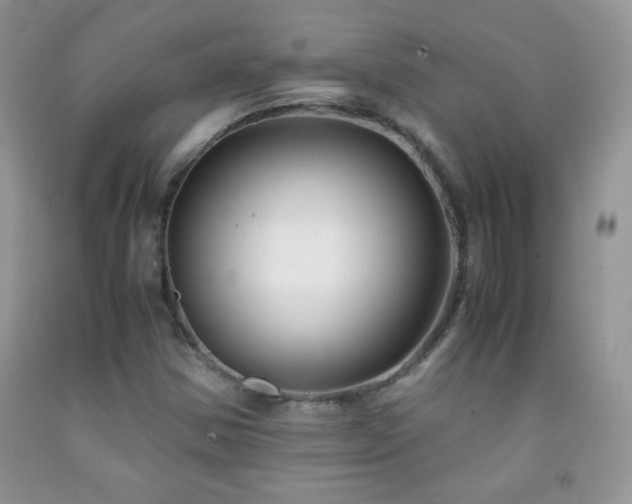 X0000092291354200709141251