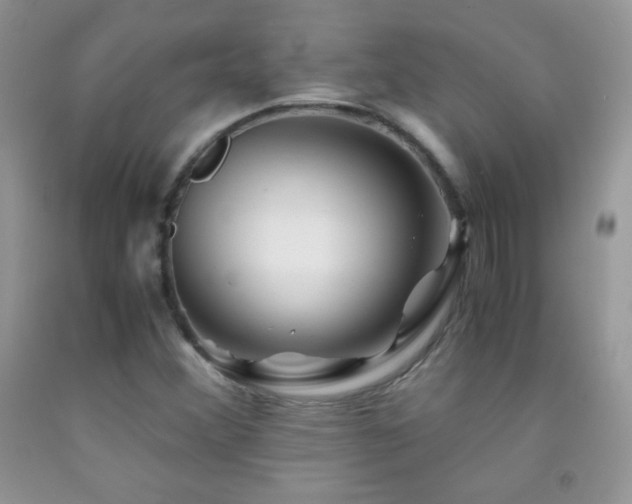 X0000092291356200709141251