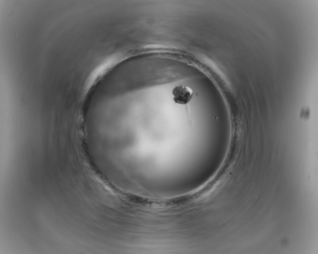 X0000092291357200709141251