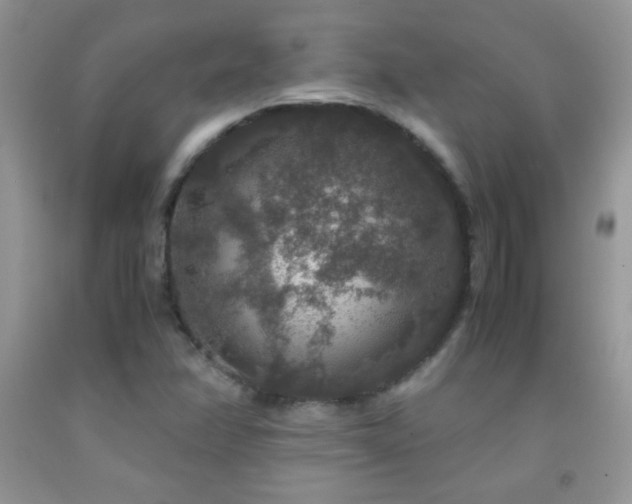X0000092291358200709141251