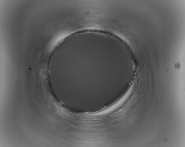 X0000092291359200709141251