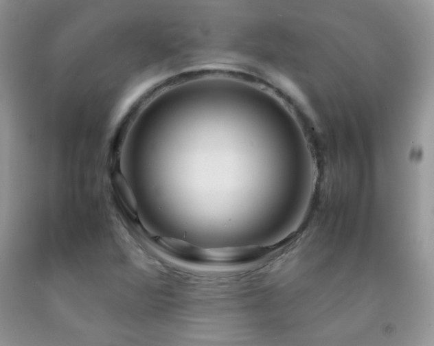 X0000092291360200709141251