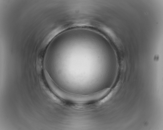 X0000092291361200709141251