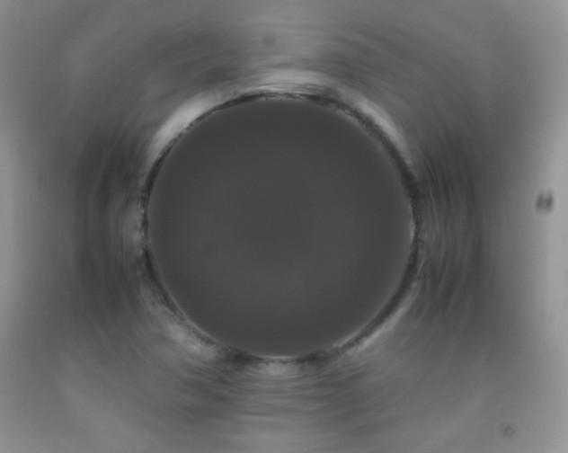 X0000092291362200709141251