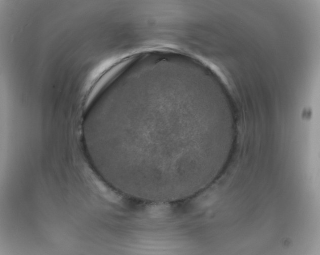X0000092291363200709141251