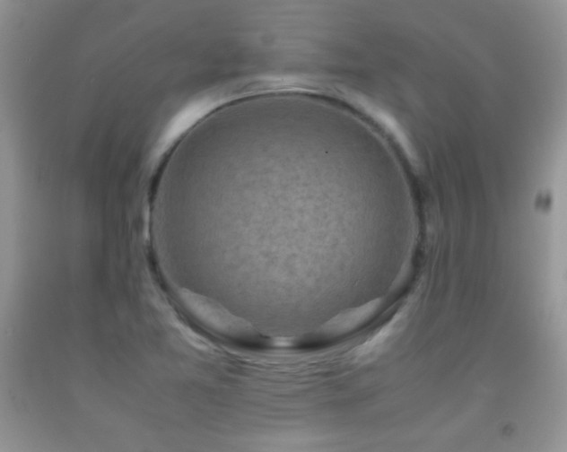 X0000092291365200709141251