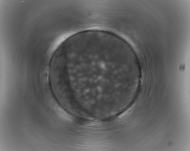 X0000092291367200709141251