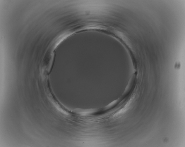 X0000092291369200709141251