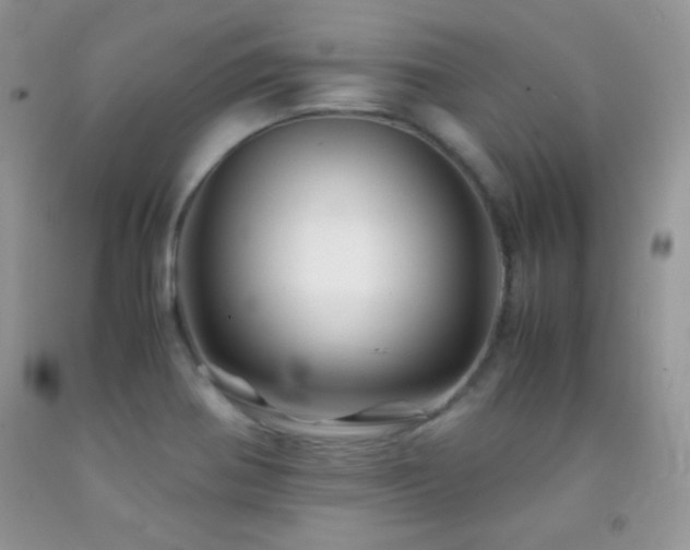 X0000092291370200709141251