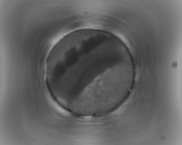 X0000092291371200709141251