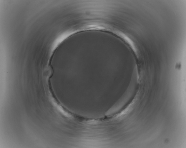 X0000092291373200709141251