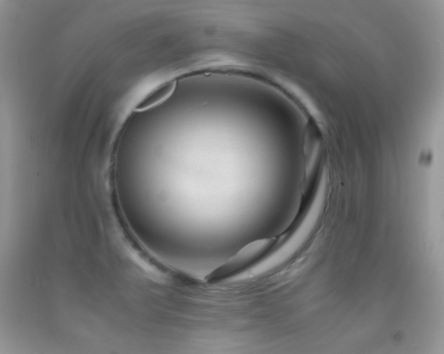 X0000092291375200709141251
