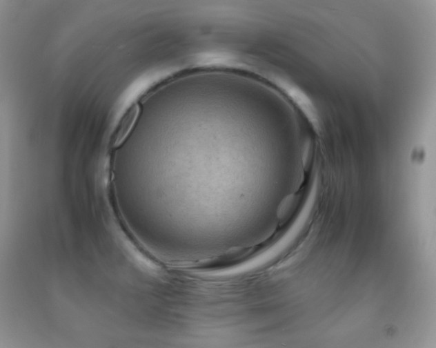 X0000092291376200709141251
