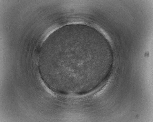 X0000092291377200709141251