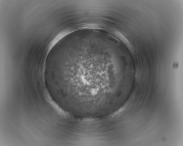 X0000092291378200709141251