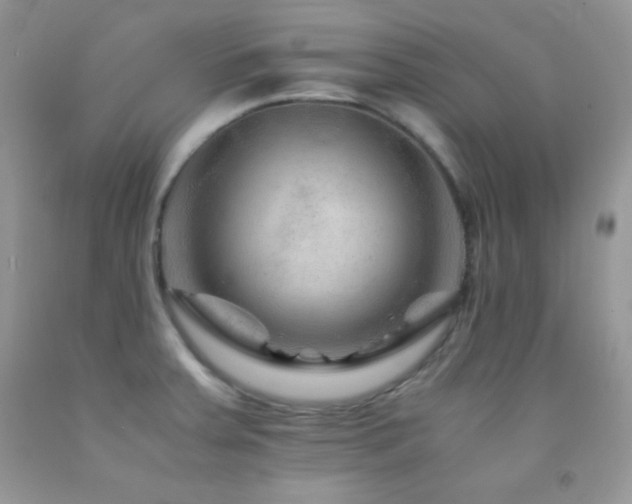 X0000092291379200709141251