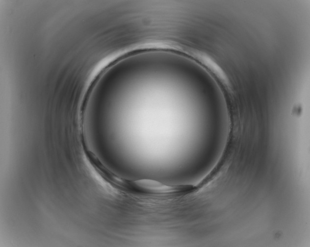 X0000092291380200709141251