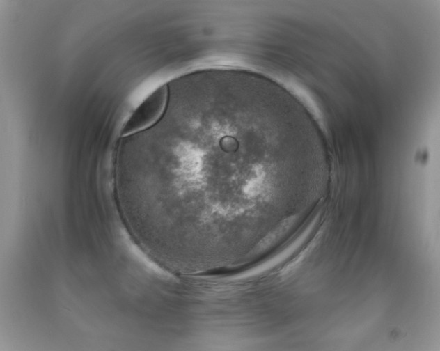 X0000092291382200709141251