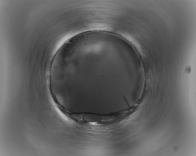 X0000092291383200709141251