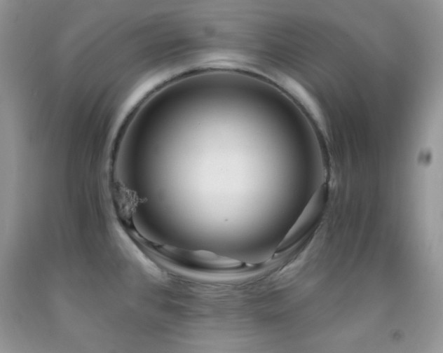 X0000092291384200709141251