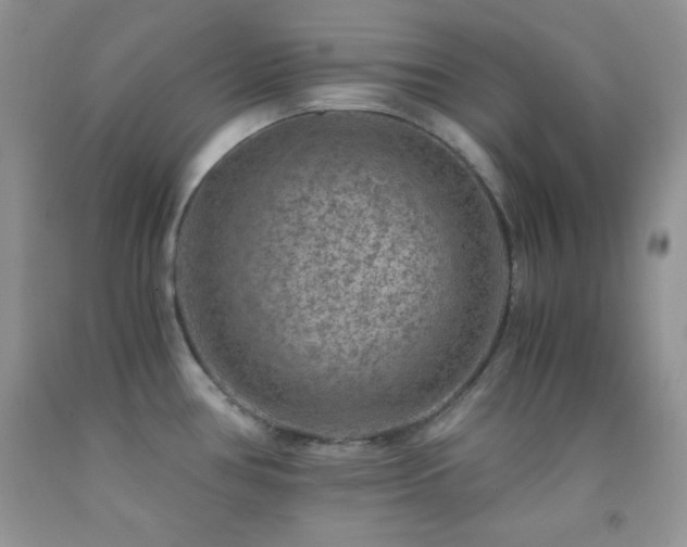 X0000092291386200709141251