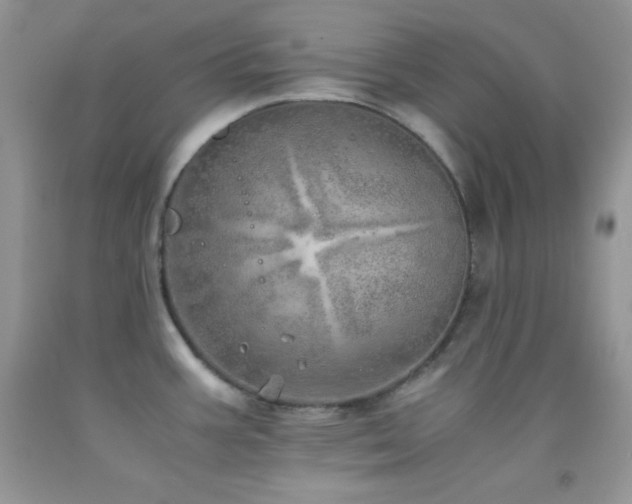 X0000092291387200709141251
