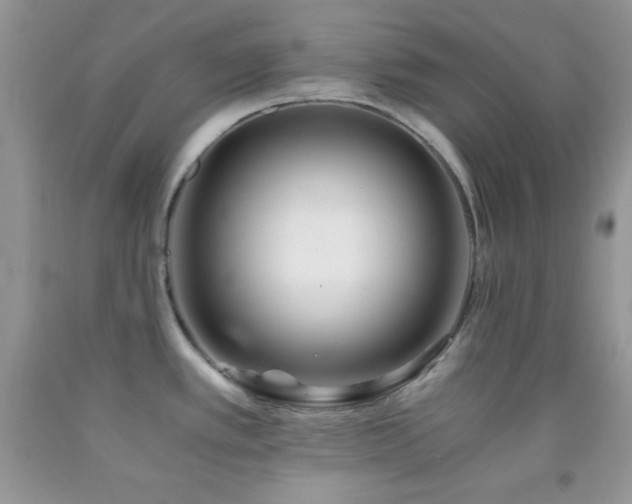 X0000092291389200709141251