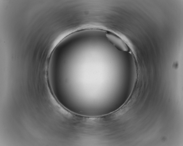 X0000092291390200709141251