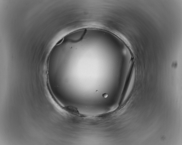 X0000092291391200709141251