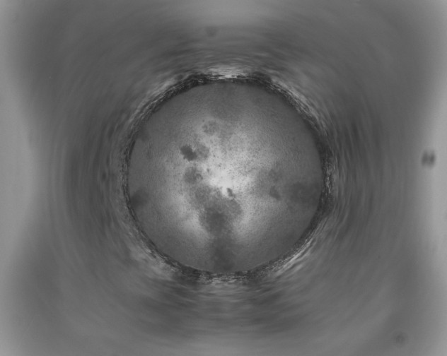 X0000092291393200709141250