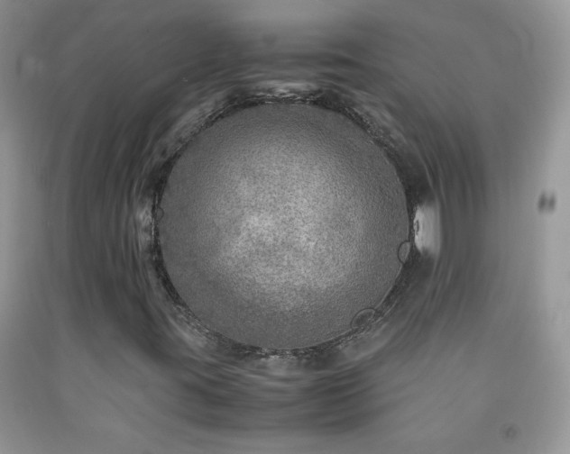 X0000092291395200709141250