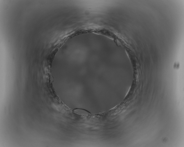X0000092291397200709141250