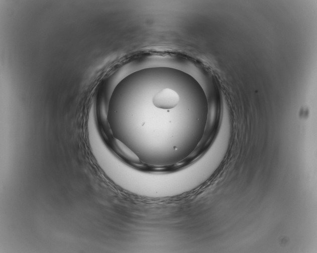 X0000092291398200709141250