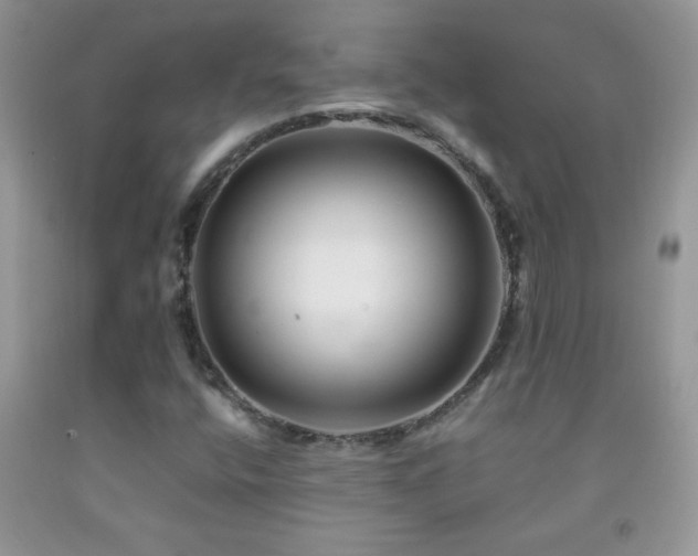X0000092291400200709141250