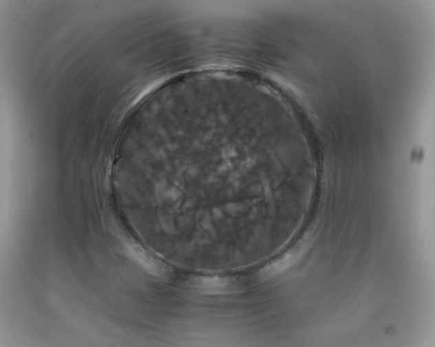 X0000092291401200709141250