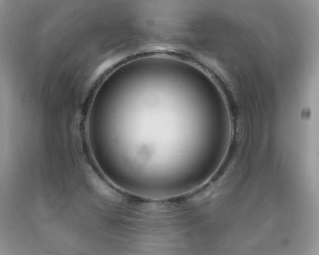 X0000092291404200709141250
