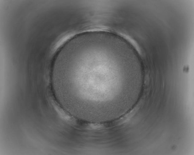 X0000092291407200709141250