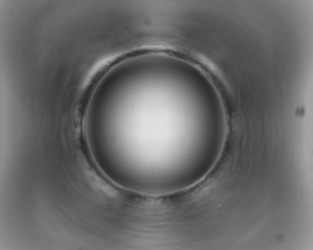 X0000092291408200709141250