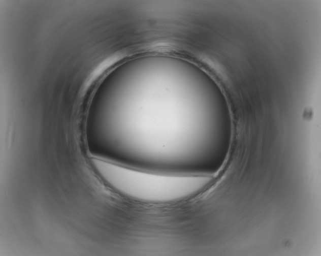 X0000092291410200709141250