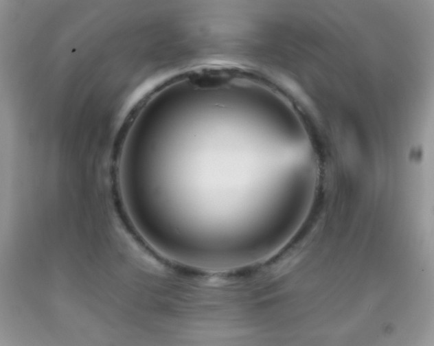 X0000092291412200709141250