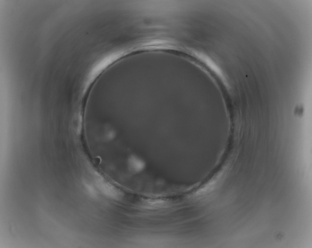 X0000092291413200709141250