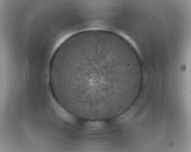 X0000092291415200709141250